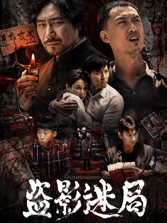 盗影迷局